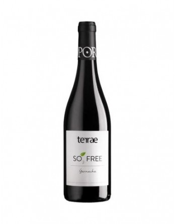 Domaine Tempore - SO2 Free...